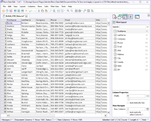 Window Update Schema